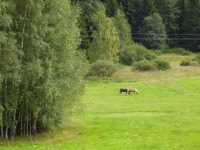 /album/fotogalerie/p8290017-jpg/