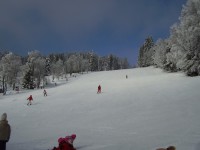 /album/fotogalerie/p2080024-jpg/